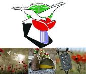 نور4